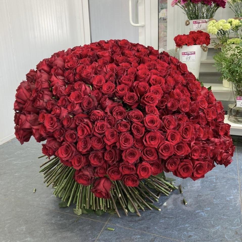 Букеты из красных роз 80 см (Эквадор) №  210888