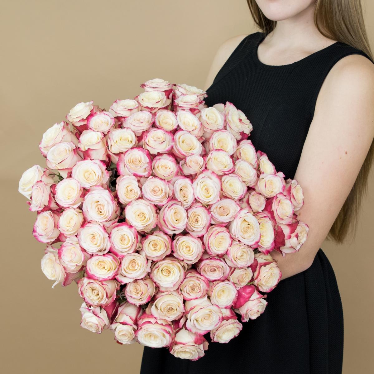 Розы красно-белые (40 см) Эквадор код товара   522