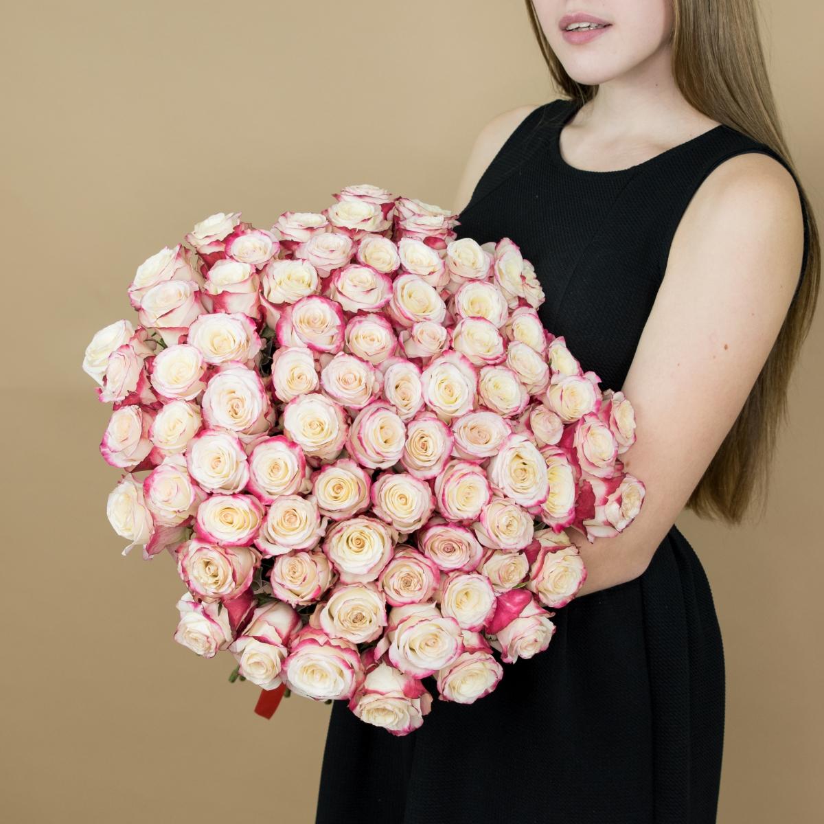 Розы красно-белые (40 см) Эквадор код товара   522