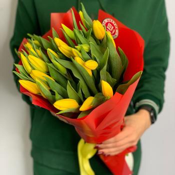 Тюльпаны желтые 25 шт (код: 147204)