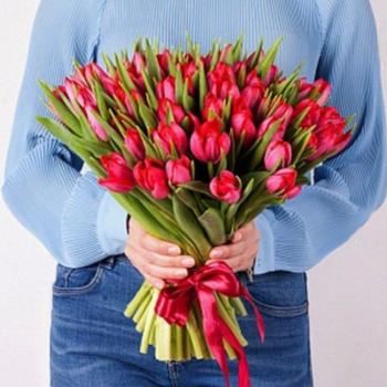 Тюльпаны красные 51 шт Артикул  151554